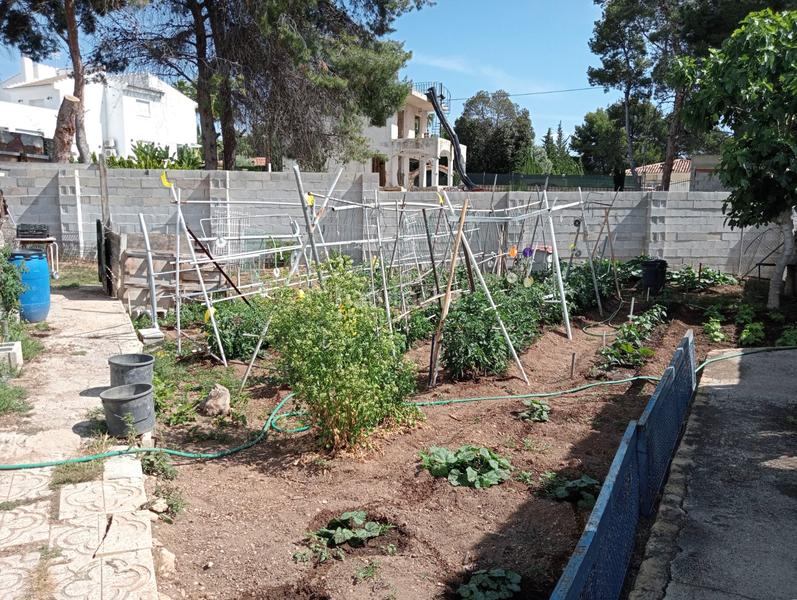 Foto 19dda1d8-d1d5-44f6-ab17-f12e34e7c661. Residential plot in Varadero Nucia (la)