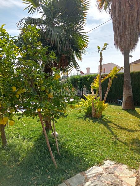 Foto 4bbbb7fd-812a-423d-9bef-d26d5d9d53c1. Residential plot in Varadero Nucia (la)