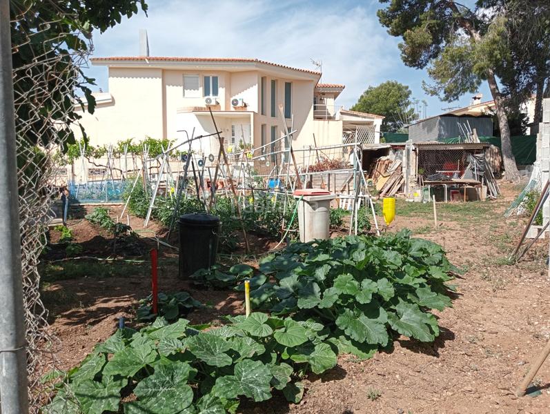 Foto 6a1f1440-45b0-4c21-b0db-29745d383d8c. Residential plot in Varadero Nucia (la)