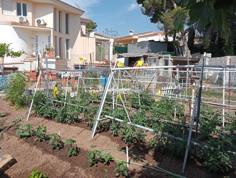 Foto a4682b38-5727-429a-a8ee-b64bb280a506. Residential plot in Varadero Nucia (la)