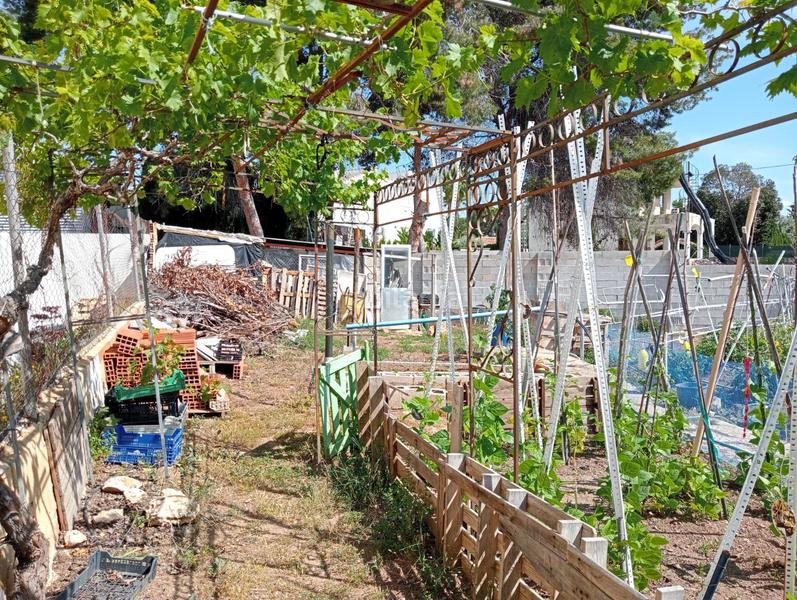 Foto bd87fd79-6743-4732-80d1-5bf6e344c3c1. Residential plot in Varadero Nucia (la)