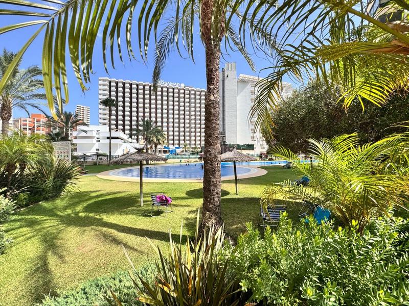 Foto 532d3967-589c-4775-8350-506eb9377eb6. Appartement avec chauffage parking piscine dans Playa Levante Benidorm