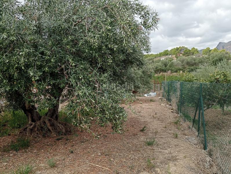 Foto 26465c74-51c6-4ccd-99d0-234f5234e4e3. Residential plot in El Tossal-Bello Horizonte Nucia (la)