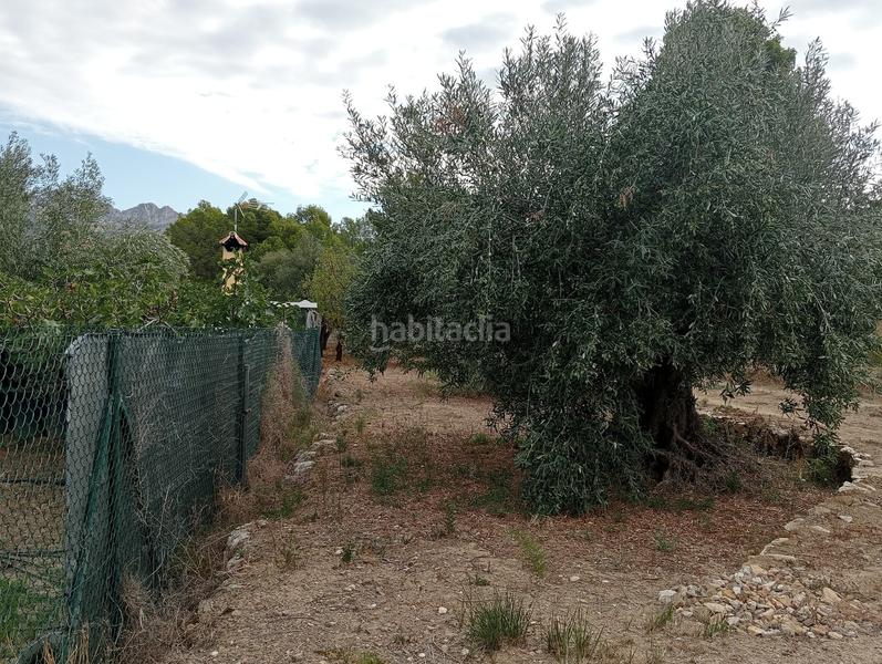 Foto b632df44-12c7-4a48-be2b-662c77c36fe5. Residential plot in El Tossal-Bello Horizonte Nucia (la)