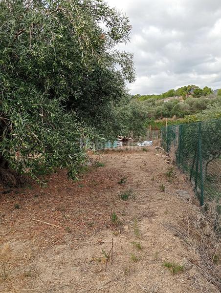 Foto ec3ad583-b988-4931-82e3-7de3011026f2. Residential plot in El Tossal-Bello Horizonte Nucia (la)