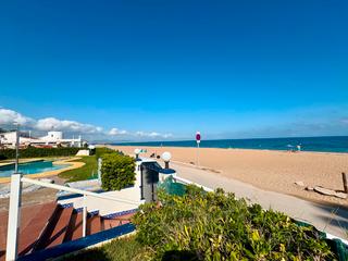 Planta baixa en El Palmar - Los Molinos. Ltpgtltstronggtapartamento totalmente reformado con amplia terra