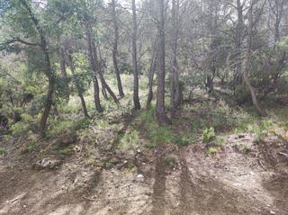 Terrain résidentiel à Calle nueva sierra gg 11. Se vende parcela con muy poca pendiente