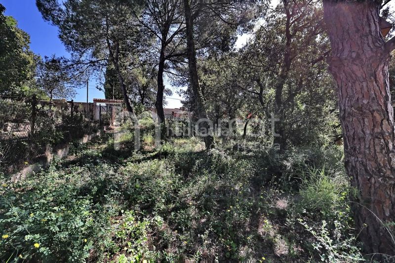 Foto d998bb0f-eda6-4b58-820f-3c9e89182a08. Casa a Sentmenat