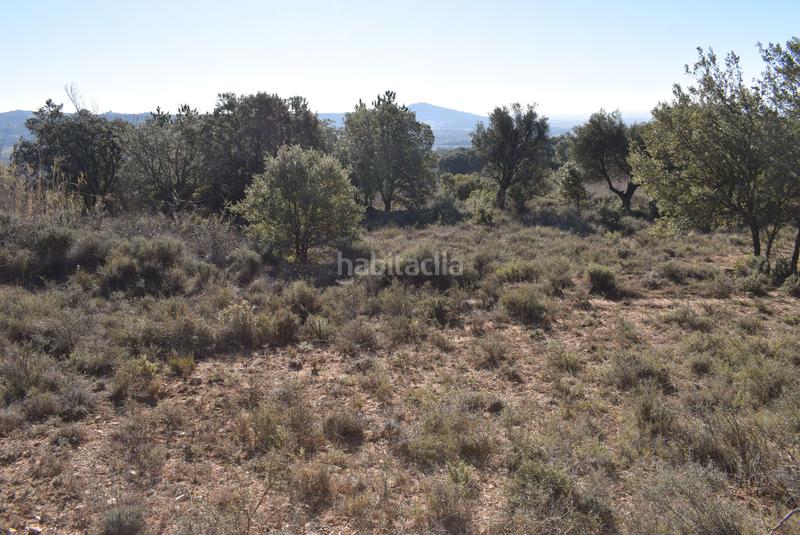 Foto 0ef75041-3ff4-4dcf-9961-de74559c12b8. Terreny residencial a calle la isuela 12 a Nueno