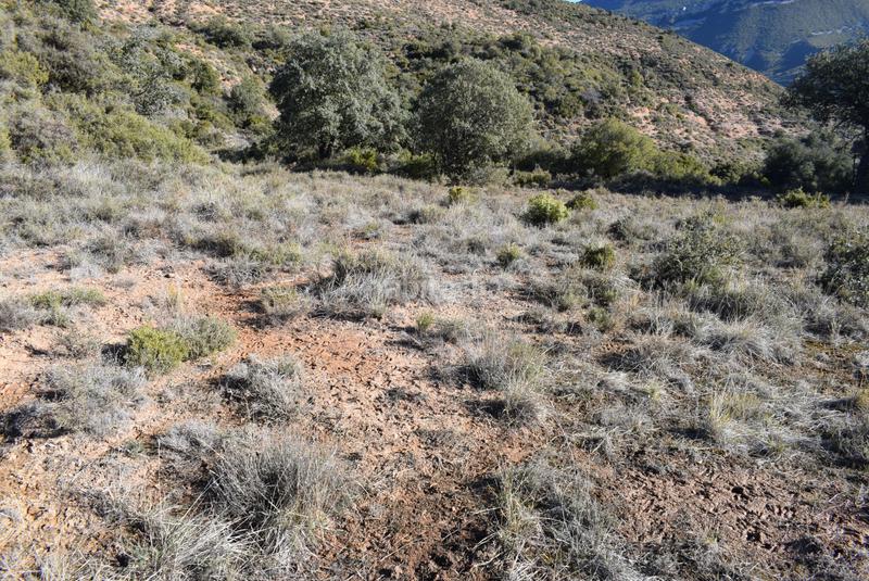 Foto 553ca986-2bd2-4ac5-be12-614a90c38d47. Terreny residencial a calle la isuela 12 a Nueno