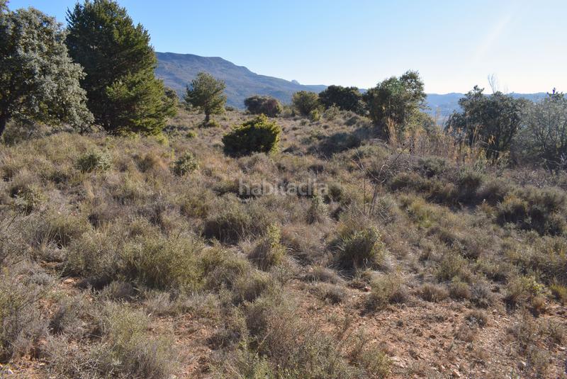 Foto 8befad43-584a-4128-873f-a65e82d2c21d. Terreny residencial a calle la isuela 12 a Nueno