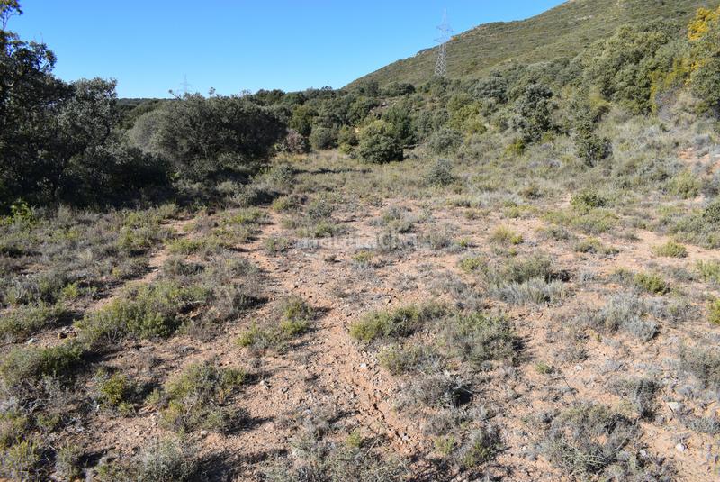 Foto 9669fc99-20aa-4928-b569-e4a7409a43eb. Terreny residencial a calle la isuela 12 a Nueno