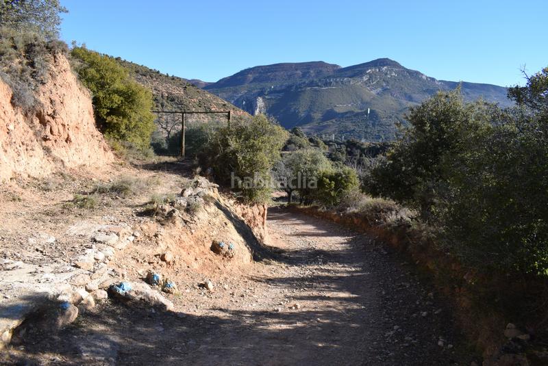 Foto a6620300-51af-4777-bd3f-d3ae86637505. Terreny residencial a calle la isuela 12 a Nueno