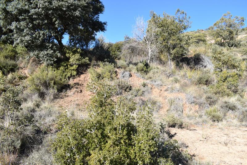 Foto e1fa7700-367b-4f51-86e1-bc1980045734. Terreny residencial a calle la isuela 12 a Nueno