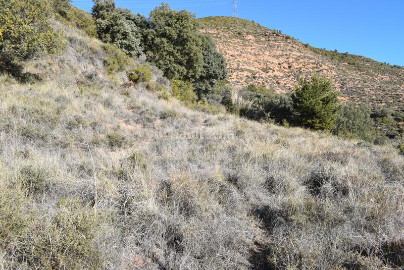 Foto 3b555bcb-c88f-4867-9f98-e981f7de6dc1. Terreno residenziale in calle la isuela 12 in Nueno