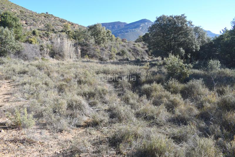 Foto 677a6c55-9f5c-4157-8cec-16b250868d71. Terreno residenziale in calle la isuela 12 in Nueno