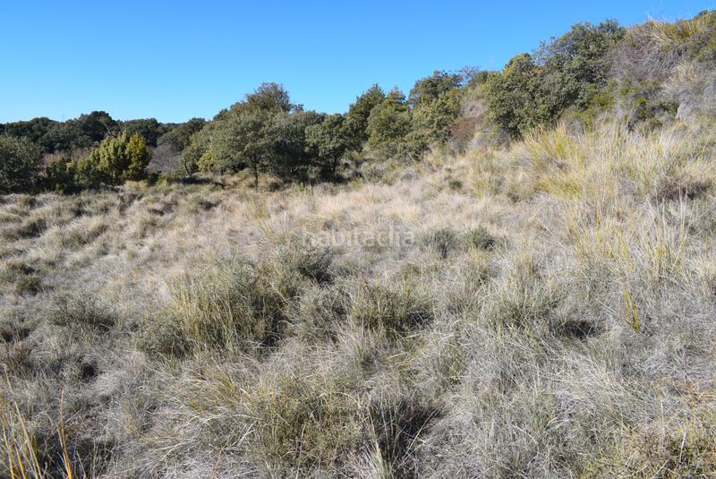 Foto 829d467f-bcd4-4f8b-ba48-0ad4991dd105. Terreno residenziale in calle la isuela 12 in Nueno