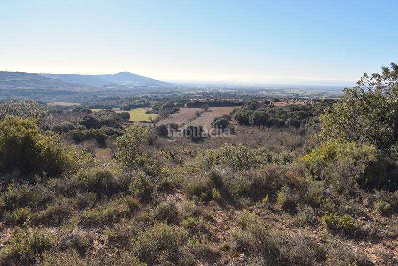 Foto 928afdea-55d8-4ed3-9a90-23f4e597c24e. Terreno residenziale in calle la isuela 12 in Nueno