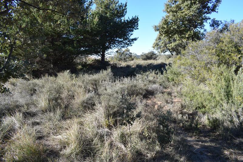 Foto ad8b1ab3-2d0b-4be1-9352-cd7e65cd25b6. Terreno residenziale in calle la isuela 12 in Nueno