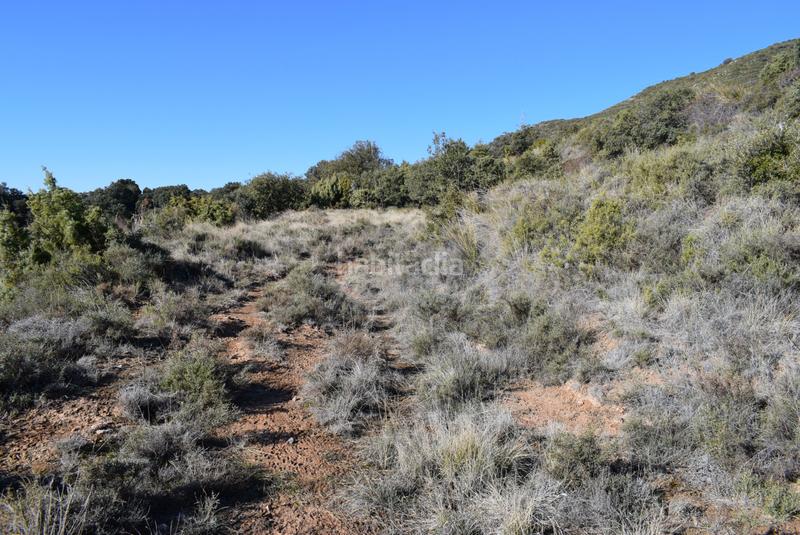 Foto f7c064d2-90ae-4c51-a5e0-7d9c9ad7388d. Terreno residenziale in calle la isuela 12 in Nueno