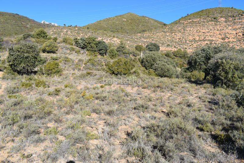 Foto 2435978d-1170-4f1f-8e7d-d9eea9956984. Wohngrundstück in calle la isuela 12 in Nueno