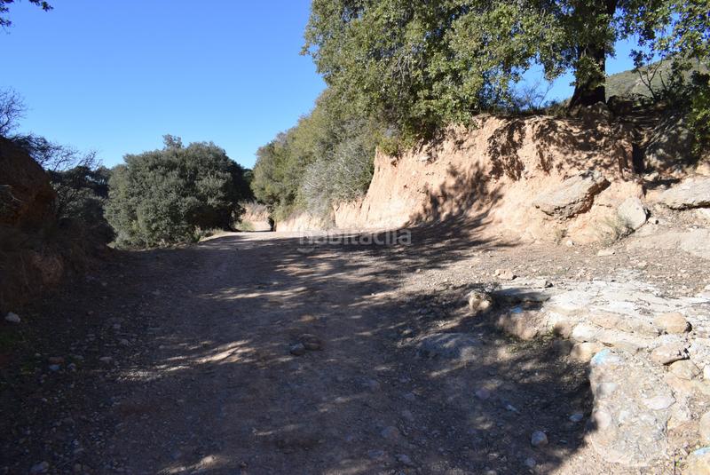 Foto 5ffbf383-c996-4830-ad98-302412b1677c. Wohngrundstück in calle la isuela 12 in Nueno