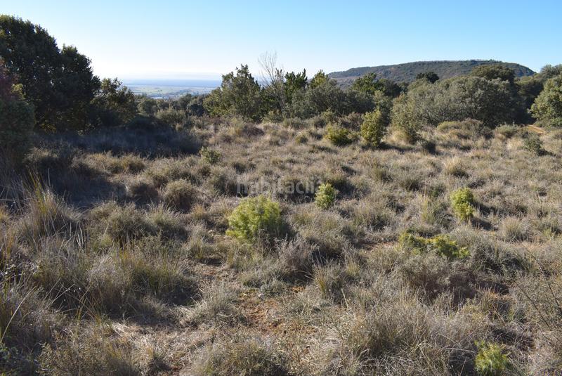 Foto 7cb90191-842a-40c6-b5f3-d080ff12bcfa. Wohngrundstück in calle la isuela 12 in Nueno