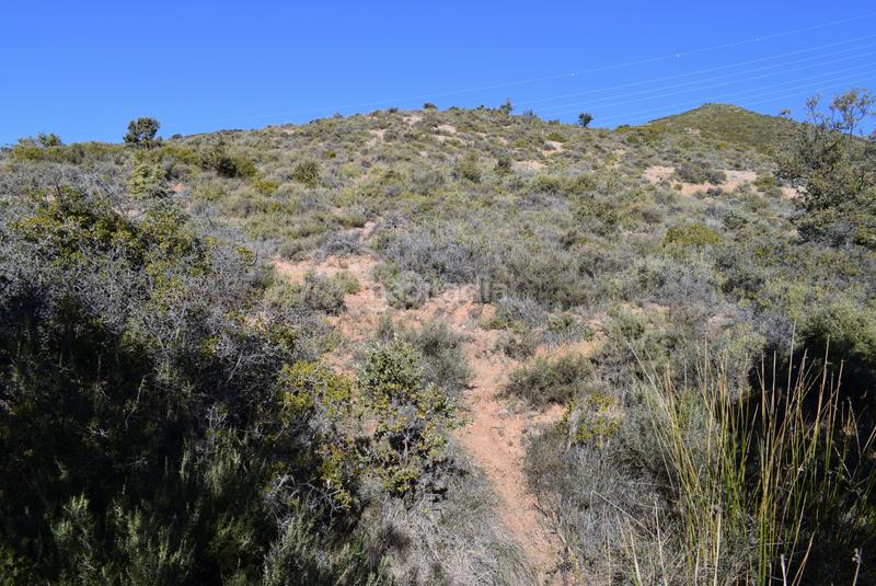 Foto b1b008d3-a6f5-4409-9d12-329ca699b2b2. Wohngrundstück in calle la isuela 12 in Nueno