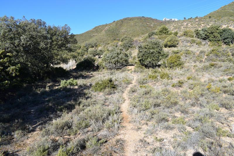 Foto dfa0cec9-72f0-40b8-a937-76c1452c4e18. Wohngrundstück in calle la isuela 12 in Nueno