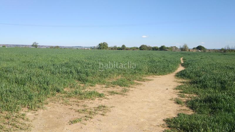 Foto 1dc1a79a-60f5-48b1-8f42-05cc56356772. Terreny residencial a n/a 7 a Pedanías Huesca