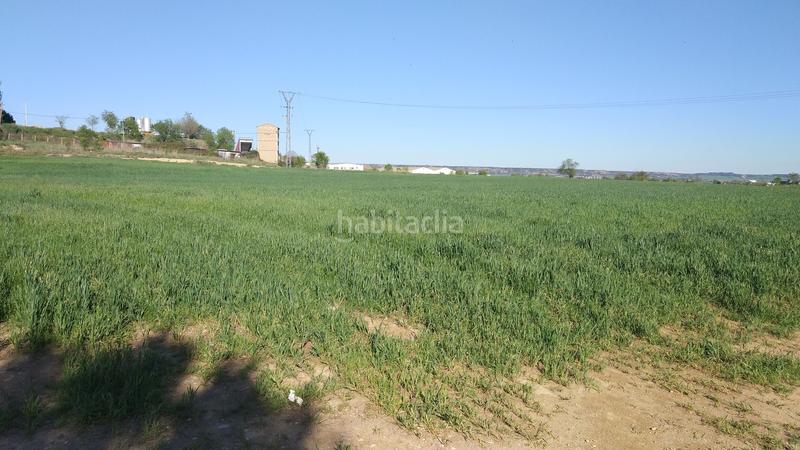 Foto 60bd3281-7bd6-4cc2-82fe-3d01a9c840d8. Terrain résidentiel dans n/a 7 dans Pedanías Huesca