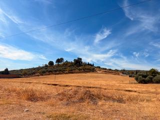 Rural plot in Bailén