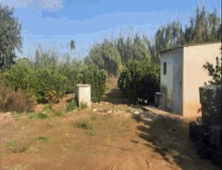 Finca rústica en Genovés