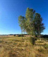 Rural plot in Almanza