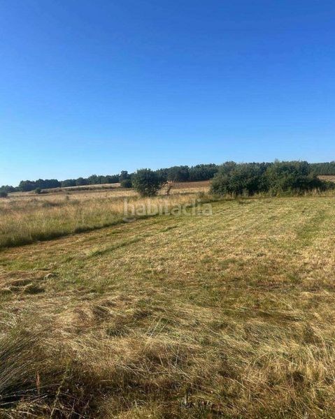 Foto f867ce41-4351-40d5-919f-68fbe131492e. Finca rústica en Almanza