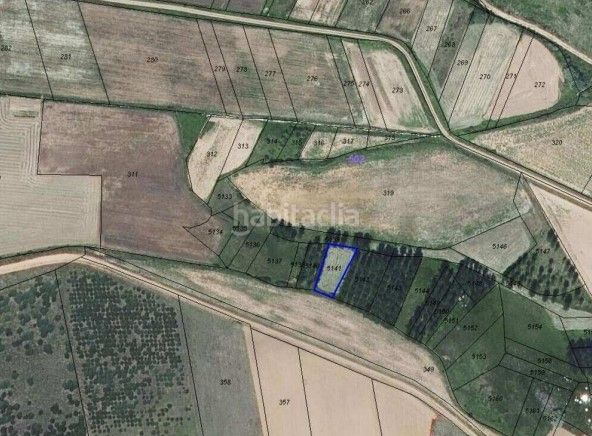 Foto 50cfd663-278f-4165-9a02-09666731e74b. Rural plot in Almanza