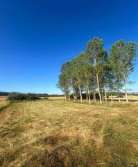 Rural plot in Almanza