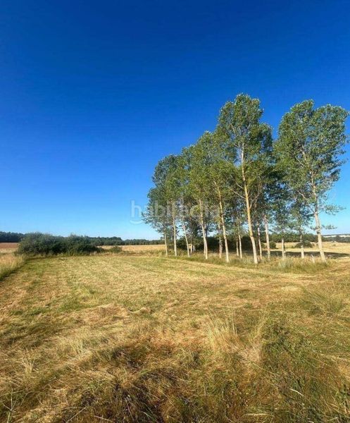 Foto 7b57d646-963d-4187-b4cb-dba558afc0e5. Rural plot in Almanza