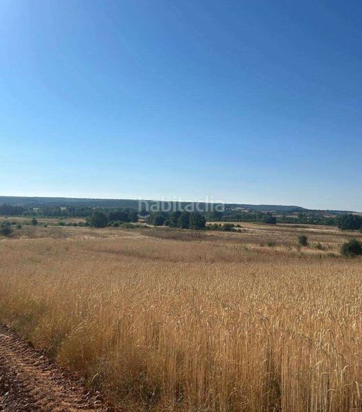 Foto fccf8fe3-43ac-49d5-97e2-0bdf13d96d48. Finca rústica en Almanza