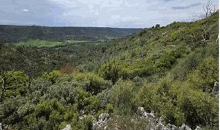 Fondo rustico in Valdeavellano