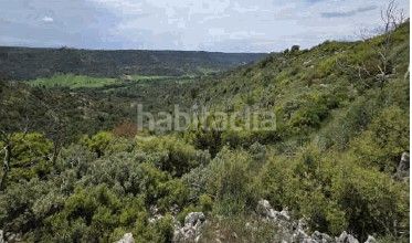 Foto 376d7d93-7e46-4c4f-b026-fd9965ee7d1f. Finca rústica a Valdeavellano