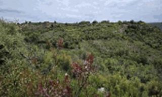 Fondo rustico in Valdeavellano