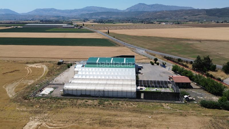 Foto b478fa03-de63-4b0c-be98-18d388f4ef5d. Nau industrial a Zona de la Vega Antequera