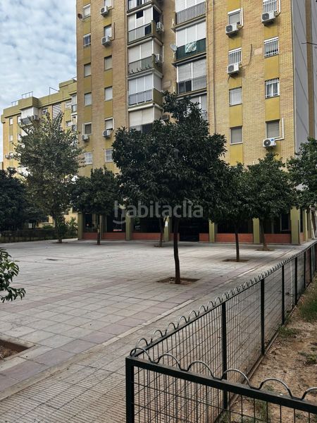 Foto f4e5060d-263d-4ae5-bec7-70c73538f35d. Pis a Pino Montano - Consolación Sevilla