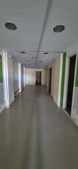Local Comercial  Carrer de pompeu fabra. Local comercial