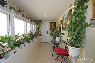 Piso  Calle ave maria. Tres habitaciones