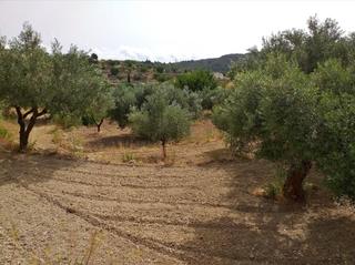 Terrain résidentiel à Benissa Pueblo