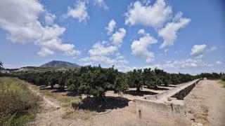 Terreno residenziale in Tavernes de la Valldigna