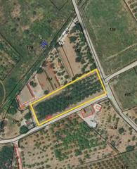 Terreno residencial en Ondara