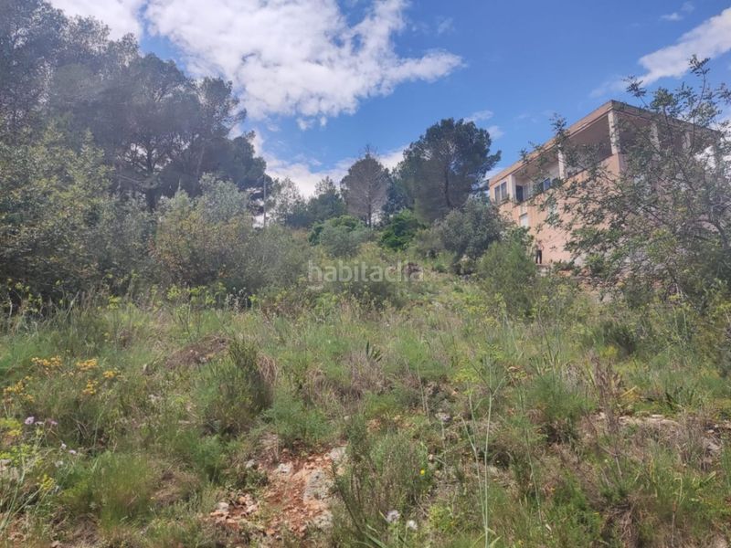 Foto e8df461b-0f80-4a8e-9e01-e7276f675bf5. Terreny residencial a Rótova